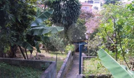 Casa térrea com 3 quartos à venda em Horto Florestal - SP