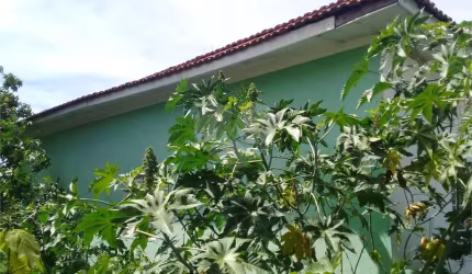 Terreno à venda em Parada Inglesa - SP
