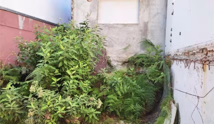 Terreno à venda em Vila Isolina Mazzei - SP