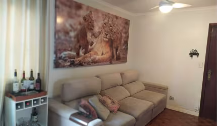 Apartamento com 3 quartos à venda em Jardim Íris - SP
