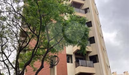 Apartamento com 3 quartos à venda em Parque Mandaqui - SP