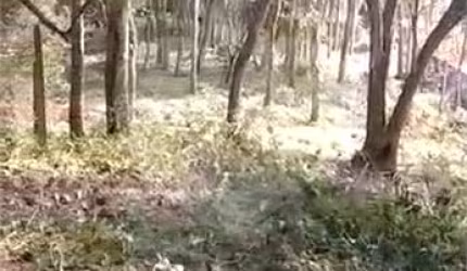 Terreno à venda em Luiz Fagundes - SP