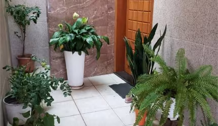 Sobrado com 3 quartos à venda em Vila Maria Alta - SP