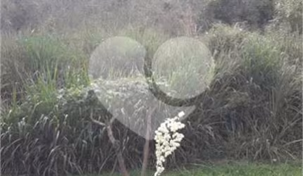 Condomínio à venda em Rio Abaixo - SP