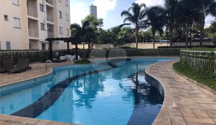 Apartamento com 3 quartos à venda em Vila Guilherme - SP