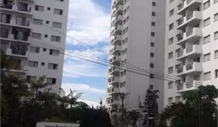 Apartamento com 3 quartos à venda em Santana - SP