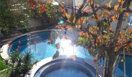 Sobrado com 3 quartos à venda em Vila Albertina - SP
