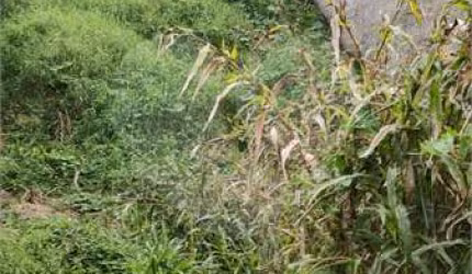 Terreno à venda em Jardim Guapira - SP