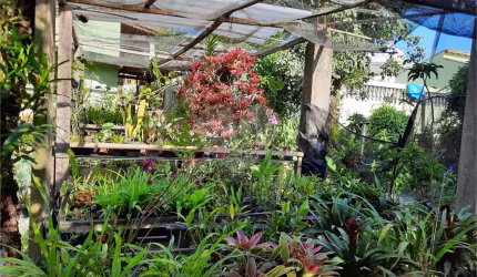 Chácara com 3 quartos à venda em Centro - SP