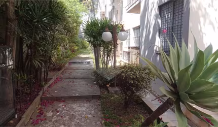 Apartamento com 2 quartos à venda em Vila Albertina - SP
