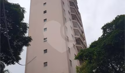 Apartamento com 3 quartos à venda em Vila Paulicéia - SP