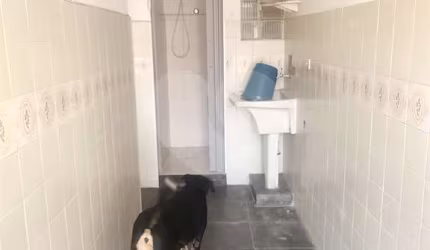 Sobrado com 2 quartos à venda em Jardim Paraíso - SP