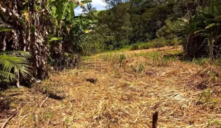 Sítio a Venda no Pedregulho em Caçapava