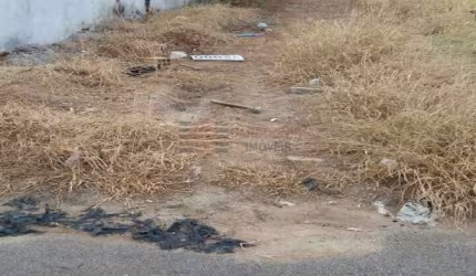 Terreno a Venda na Borda do Campo em Caçapava