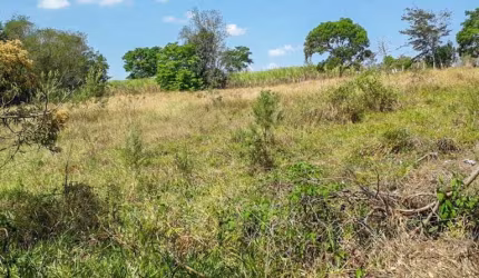 Terreno a Venda no Jardim Guadalupe em Caçapava