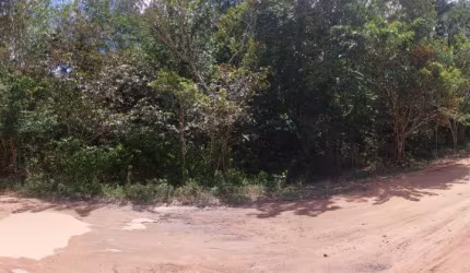 Vendo 2 lotes/ Terreno no KM 26 da BR 174