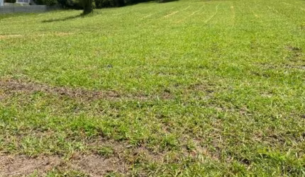 Terreno em Condomínio de Luxo à Venda em Itupeva-SP, Parque dos Cafezais III - 2.310,43 m² de área