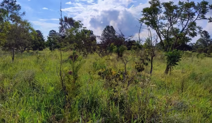 Terreno para venda em Campos Elíseos de 6000.00m²
