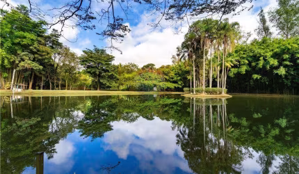Chácara para venda em Poste de 15928.00m² com 2 Quartos