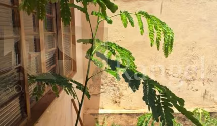 Casa para venda em Vila Maria Luiza de 192.00m² com 4 Quartos e 2 Garagens