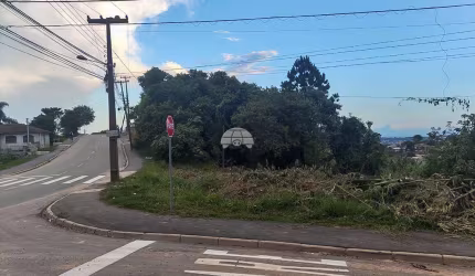 Terreno para venda em Colônia Antônio Prado de 498.00m²