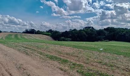 Chácara para venda em Área Rural De Araucária de 23606.00m² com 1 Quarto