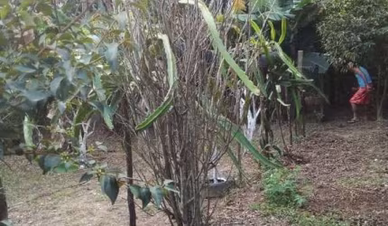 Chácara para venda em Leites de 60.00m² com 2 Quartos