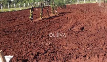 Chácara para venda em São Luiz I de 1200.00m² com 1 Quarto