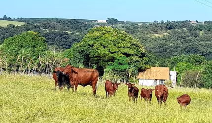 Fazenda / Sítio para venda em Centro de 30.50m² com 1 Quarto