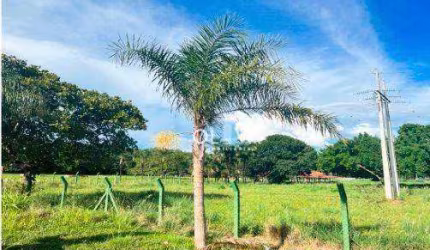 Terreno para venda em Centro de 2219.00m²
