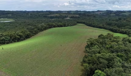 Fazenda / Sítio para venda em Fazenda Velha de 242000.00m² com 1 Quarto