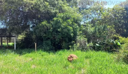 Terreno para venda em Medeiros de 2981.00m²