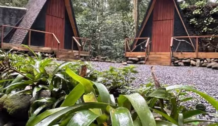 Fazenda / Sítio para venda em Maresias de 20000.00m² com 5 Quartos e 2 Suites