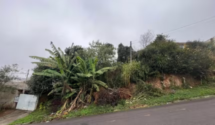 Terreno para venda em Roça Grande de 487.00m²