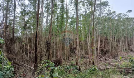 Terreno para venda em Taiaçupeba de 193000.00m²
