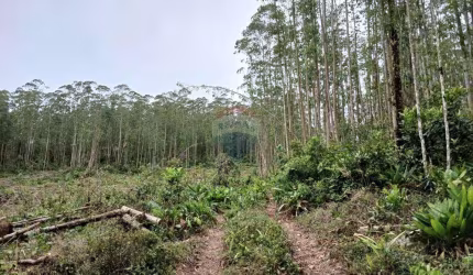 Terreno para venda em Taiaçupeba de 84000.00m²