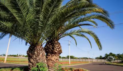 Lote / Terreno para venda em Conjunto Habitacional Elias Stefan de 362.00m²