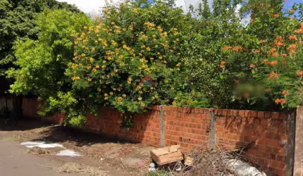 Lote / Terreno para venda em Monte Carlo de 301.00m²