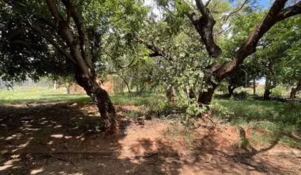 Lote / Terreno para venda em Pinheiros de 300.00m²