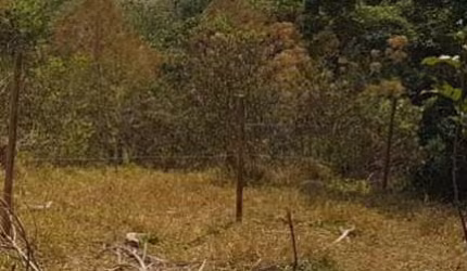 Lote / Terreno para venda em Salto De Baixo de 1400.00m²