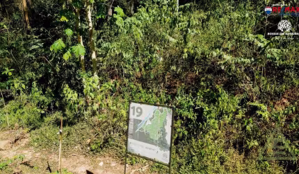 Terreno para venda em Pedro Do Rio de 23140.00m²