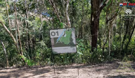 Terreno para venda em Pedro Do Rio de 21231.00m²