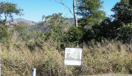 Terreno para venda em Pedro Do Rio de 21330.00m²