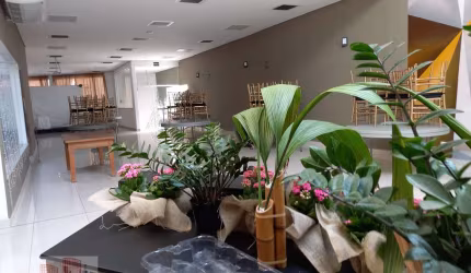 Loja para alugar em Centro de 350.00m²