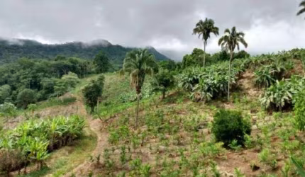 Fazenda / Sítio para venda em Morretes de 33.00m² com 1 Quarto