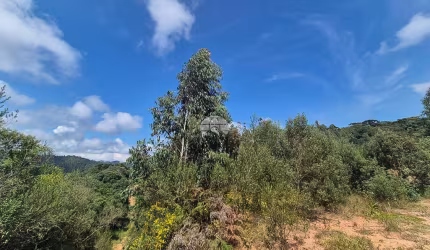 Terreno para venda em Rio Verde de 6000.00m²