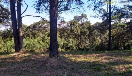 Terreno en Condomínio para venda em Aldeia Da Serra de 1270.00m²
