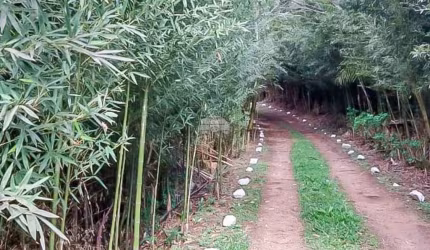 Chácara para venda em Contenda de 100.00m² com 4 Quartos, 1 Suite e 1 Garagem