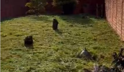 Terreno para venda em Vila Cidade Jardim de 300.00m²