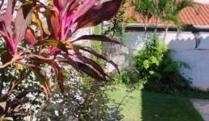 Casa para venda em Jardim Pau Preto de 500.00m² com 3 Quartos, 1 Suite e 2 Garagens